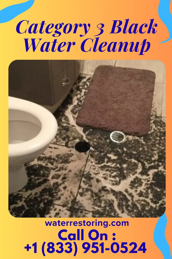 Category 3 Black Water Cleanup in Dansville, MI