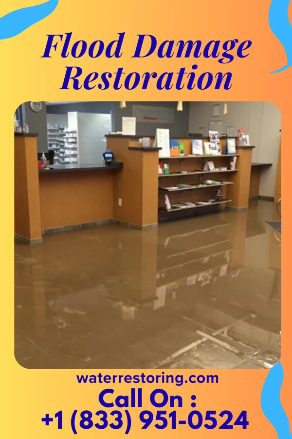 Flood Damage Restoration in Dansville, MI