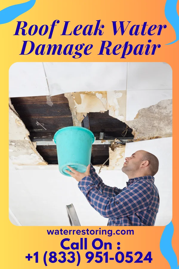 Roof Leak Water Damage Repair in Dansville, MI