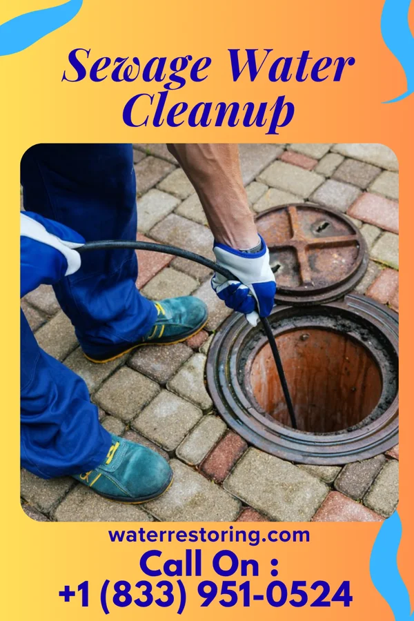 Sewage Water Cleanup in Dansville, MI