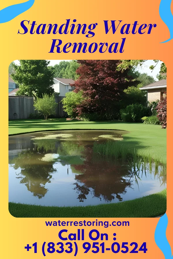 Standing Water Removal in Dansville, MI